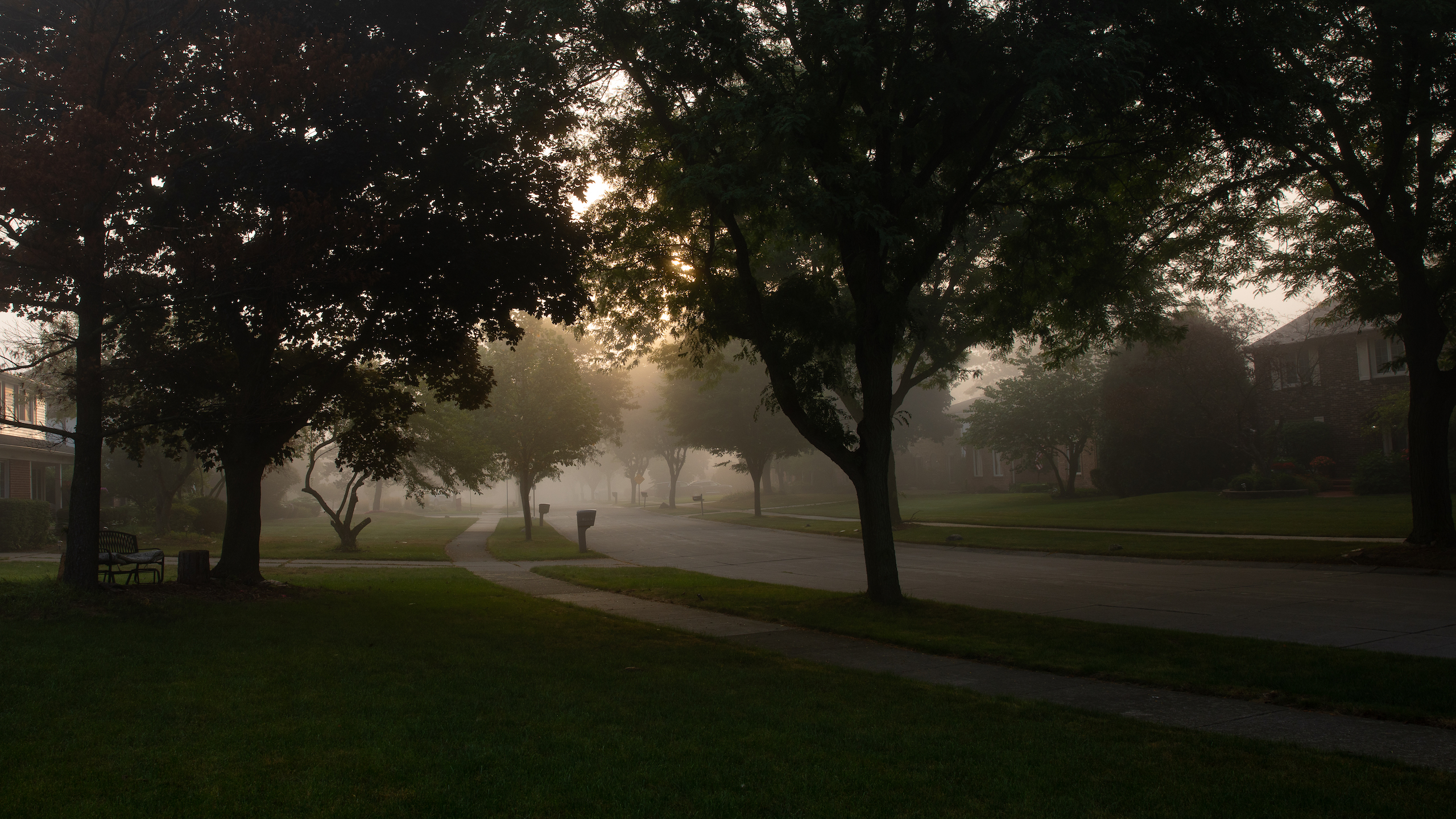 Misty Fall